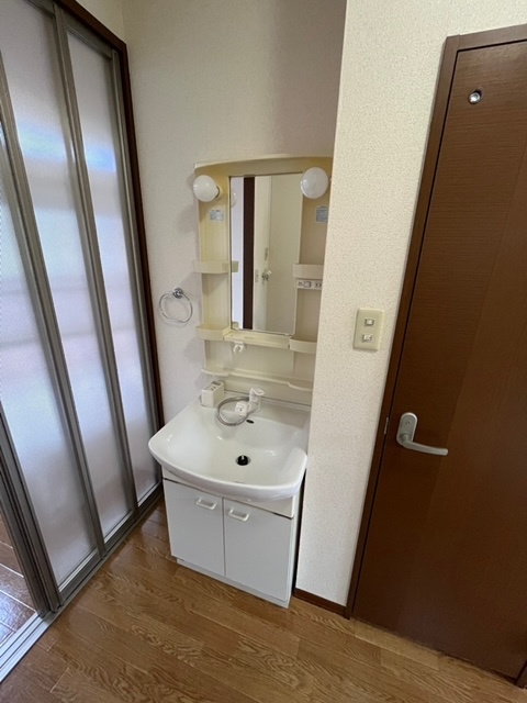 リッシュ城ケ丘A棟の洗面所