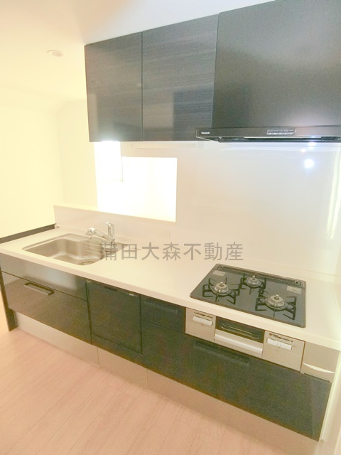 山王3丁目戸建のキッチン|グリルと食器洗浄機付き３口ガスコンロのカウンター式システムキッチン