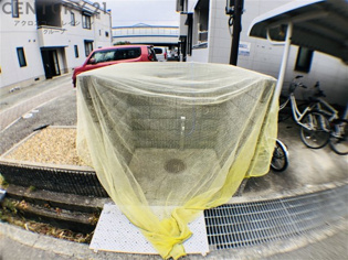ウインズ園田西棟のその他物件画像