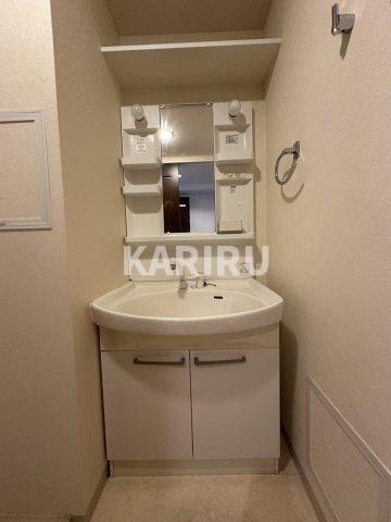 グランルージュ城東の洗面所