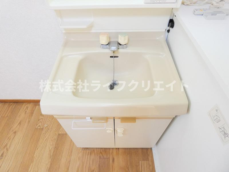 コーポ天野の洗面所