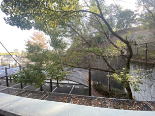サンラトール甲陽園のその他物件画像