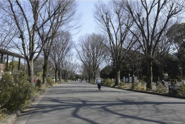 駒沢中村ビルの駐車場
