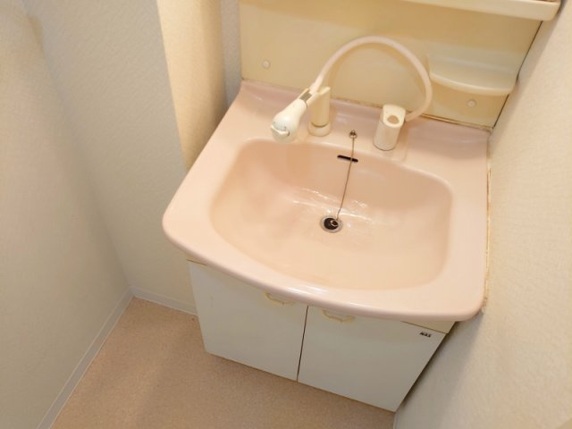 キャロル柴原の洗面所