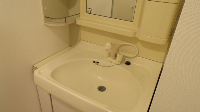 グランシェソワの洗面所