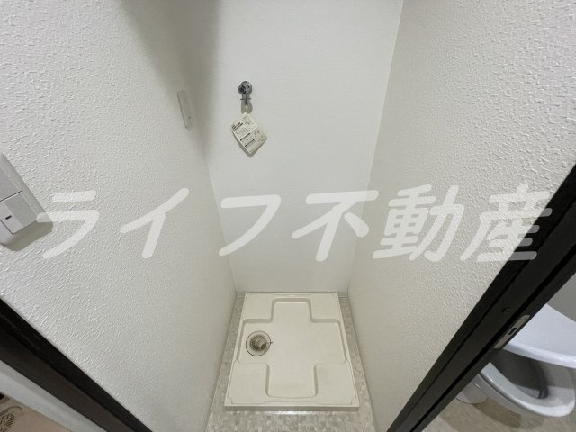 エヌエムトラントシスのその他