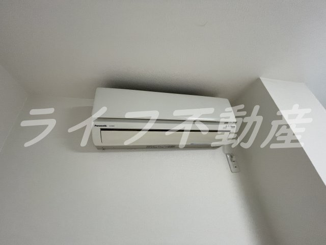 エヌエムトラントシスのその他