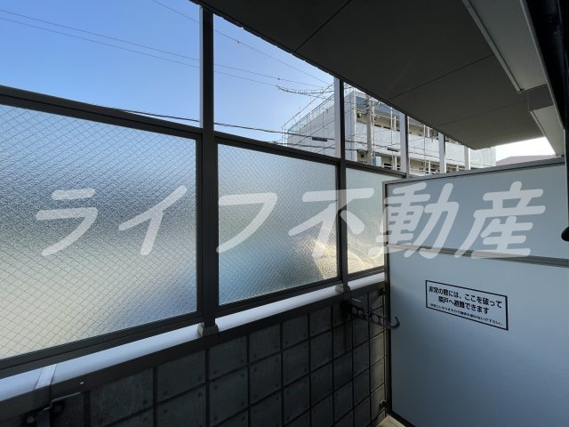 エヌエムトラントシスの展望