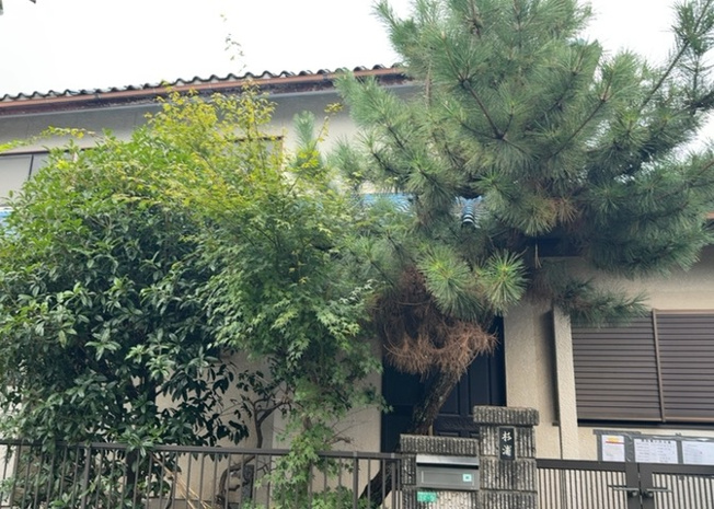 【外観】 | 土地を買う際、住む地域の自治体や福祉の補助制度にも注目してみましょう。子供や老人の医療補助やゴミ出しのルールなど、自治体によってルールに大きな違いがあるため、暮らしやすい土地で判断するとよいでしょう。