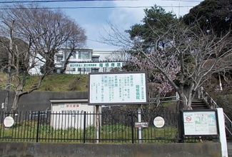 【周辺】 | Ｓｕｎｎｙ　Ｍａｉｓｏｎ | 箱根病院まで500m