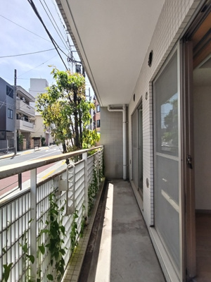 ※クリーニング前の写真です