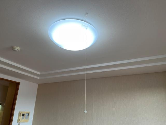 ペティハウス壱番館の設備|照明器具
