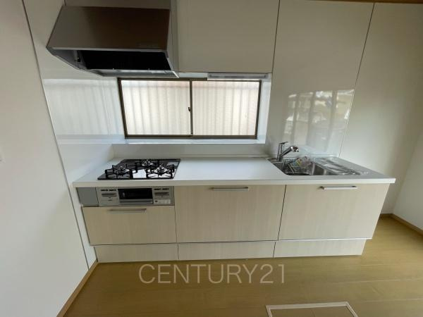 前橋市駒形町中古住宅のキッチン|シンクも大きく洗い物もしやすい浄水器付。シャワーヘッドは引き出し可能、シンクの隅々まで洗い流せます。