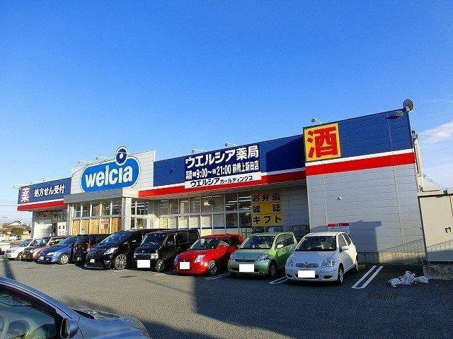 ブック　フィールドⅡの周辺|ウエルシア薬局前橋上新田店まで1400m