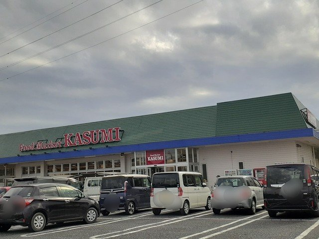 チェストナットフィールド　光の周辺|カスミフードスクエア杉戸店まで400m