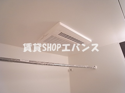  | リブリ・ミニヨン