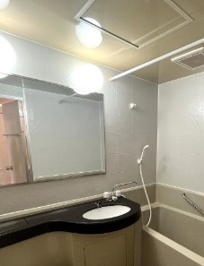 ローズマンションA-015の洗面所|他部屋参考写真