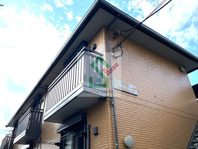 アンフラーゼの外観