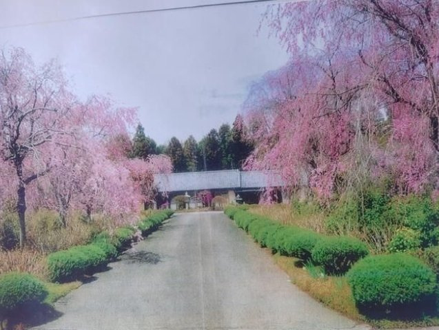 売戸建　壬生町助谷
