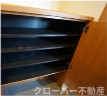 ルミナスＭＩＺＵＨＯ京町の玄関|玄関