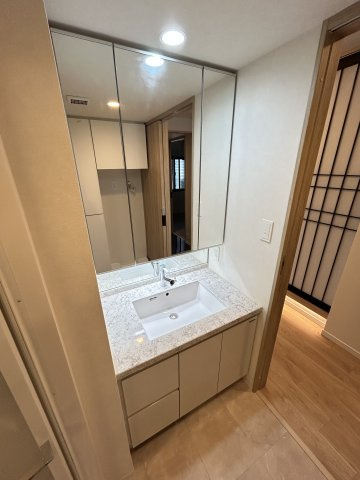 S-RESIDENCE谷町六丁目aloの洗面所