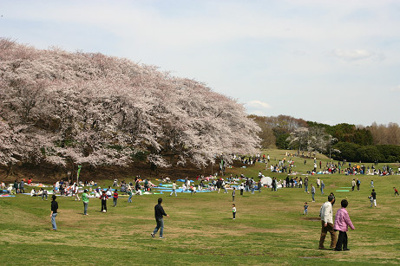 【周辺】 | ジョイフル・Ｌ | 根岸森林公園