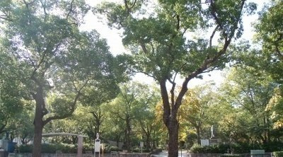 西原エルデイムの周辺|高松中央公園さんまで2400m