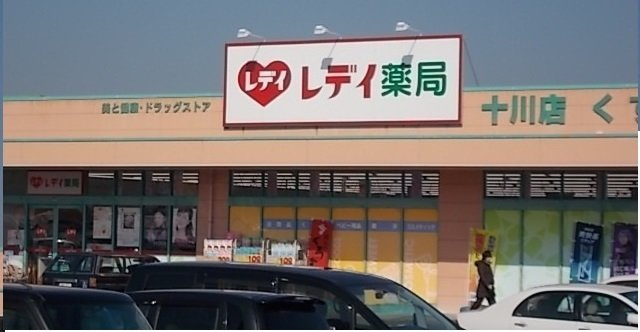 リヴァー・ウィルダーネスＣの周辺|レディ薬局十川店さんまで450m