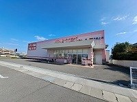 グランシャリオの周辺|ひまわり多肥店さんまで1100m