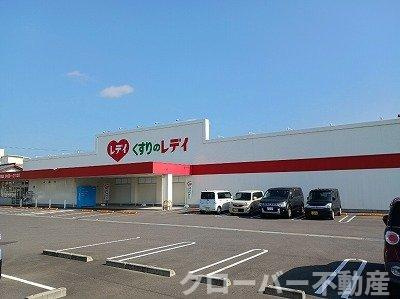 ロイヤルパークⅡの周辺|くすりのレディ一宮店さんまで700m
