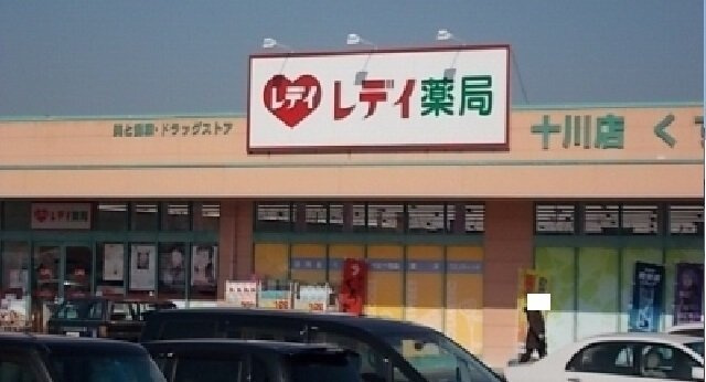 ワイズＫⅡの周辺|レディ薬局十川店さんまで850m
