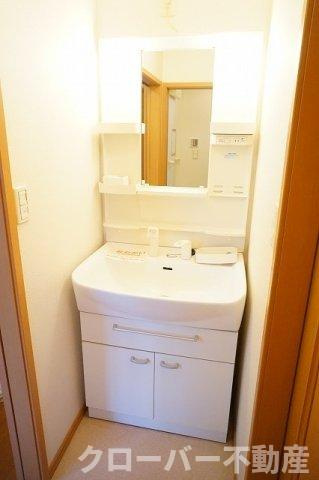 グランデ　カーサＣの洗面所
