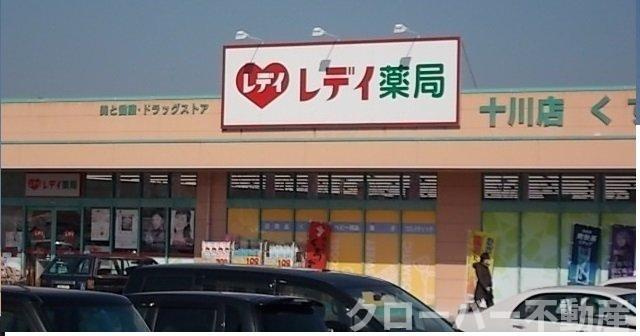 グランデ　カーサＣの周辺|くすりのレディ薬局十川店さんまで700m