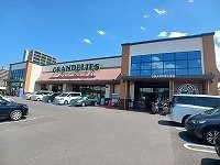 アンジュの周辺|グランデリーズ太田店さんまで950m