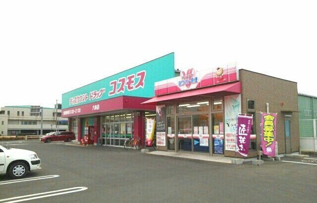 ドルチェ・ビータⅢの周辺|コスモス六条店さんまで1200m
