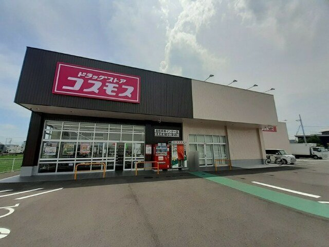 センチュリー２１　Ａの周辺|コスモス高松中央ＩＣ店さんまで600m