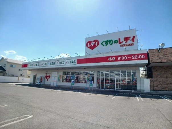 ディアコート林Ⅰの周辺|くすりのレディ林店さんまで600m