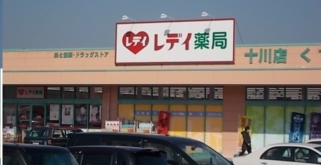 グランデ　カーサＤの周辺|レディ薬局十川店さんまで700m
