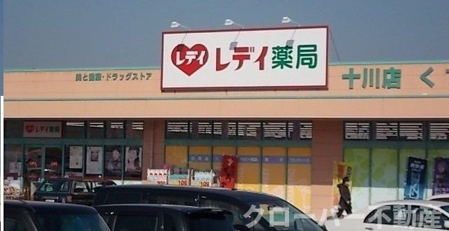 グランデ　カーサＤの周辺|レディ薬局十川店さんまで700m