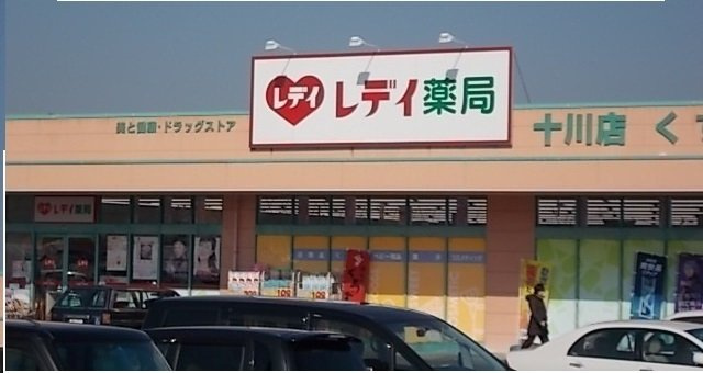 リファインド・Ｎ　Ⅰの周辺|レデイ薬局十川店さんまで700m