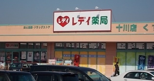 ヴィラ　なのはな　Ｃの周辺|レディ薬局十川店さんまで1100m