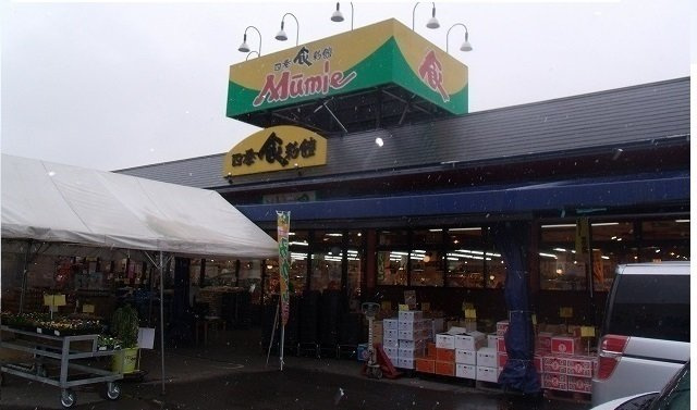 リバーサイド川島Ｂの周辺|ムーミー川島店さんまで1600m
