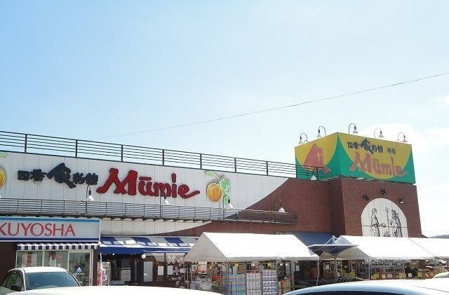 レンリⅠの周辺|ムーミー林店さんまで550m