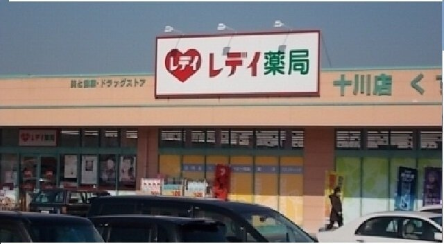 メゾンド・ジュネスＫ　５の周辺|レディ薬局十川店さんまで800m