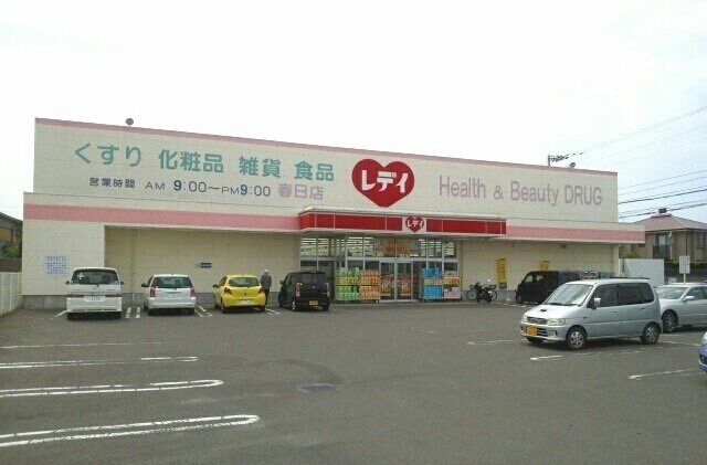 クラール春日Ｄの周辺|レディ薬局高松春日店まで1700m