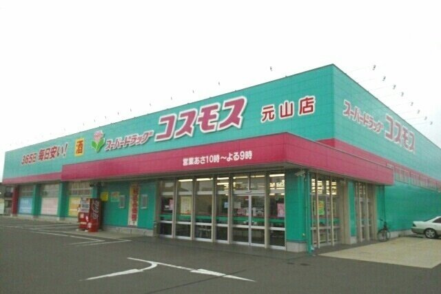 アリエッタＢの周辺|コスモス元山店さんまで1000m