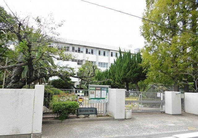 ラフォーレシスの周辺|高松市立花園小学校まで900m