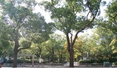 グランソレイユの周辺|高松中央公園まで1000m