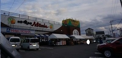 プリートアルバⅡの周辺|ムーミー林店さんまで450m