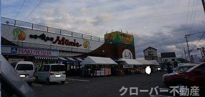 プリートアルバⅡの周辺|ムーミー林店さんまで450m